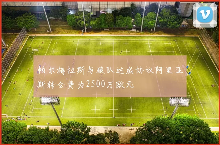 帕尔梅拉斯与狼队达成协议阿里亚斯转会费为2500万欧元