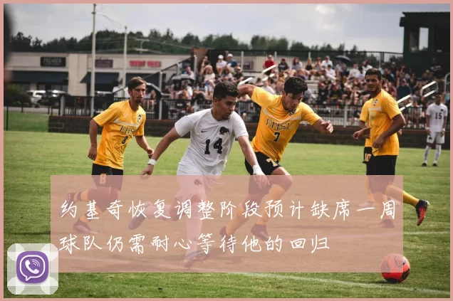 约基奇恢复调整阶段预计缺席一周球队仍需耐心等待他的回归